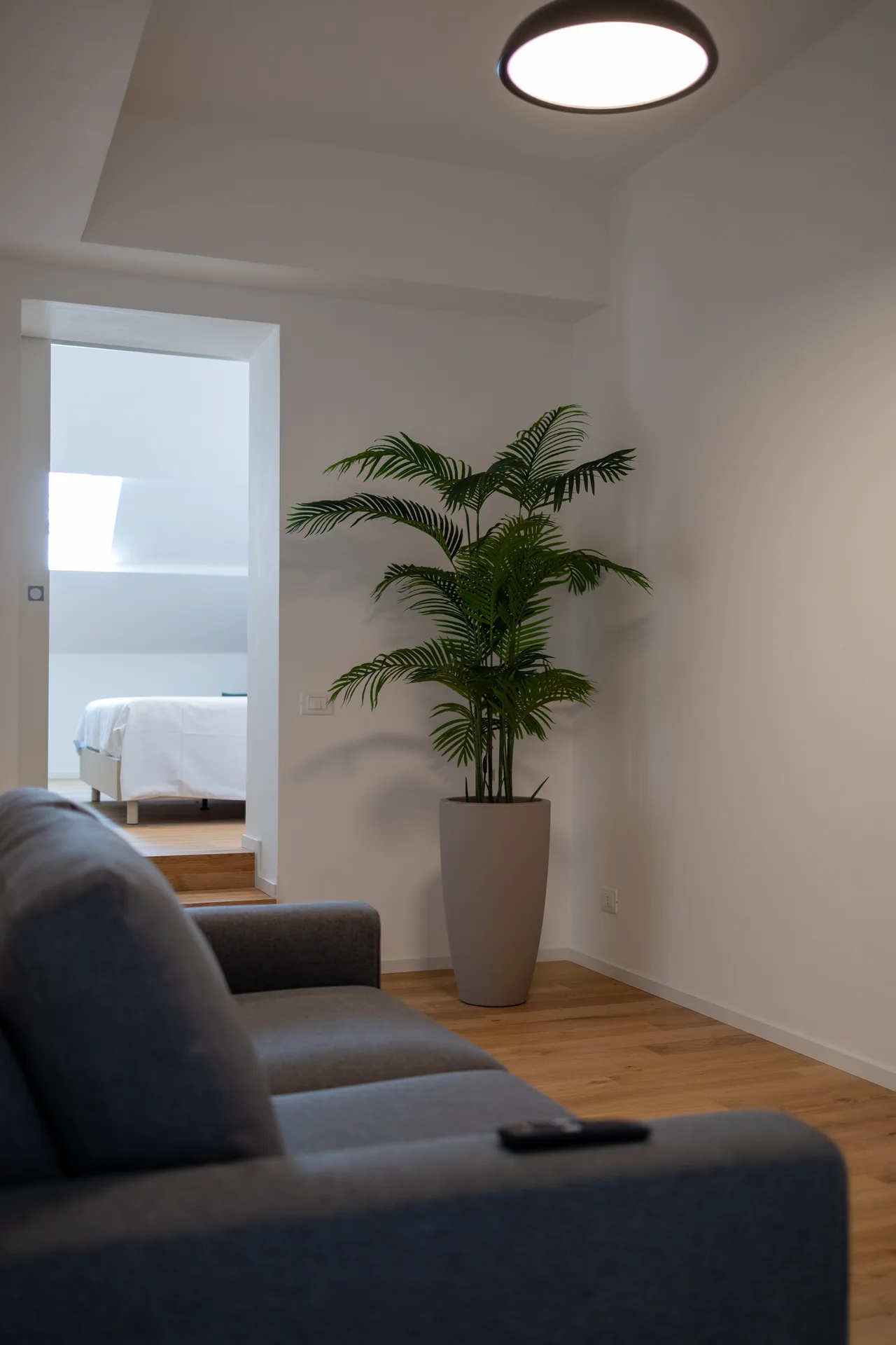 Apartment 6 — room 6